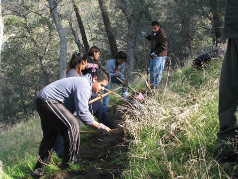 students volunteer with trail clean up