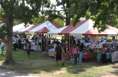 Students at Community Service Opportunities Fair