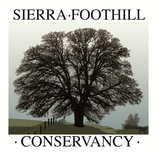 sierra foothill logo