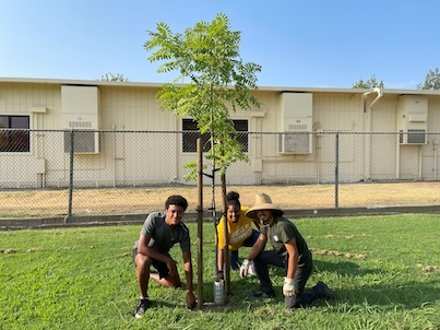 volunteers posing by tree