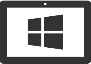 Windows Icon 