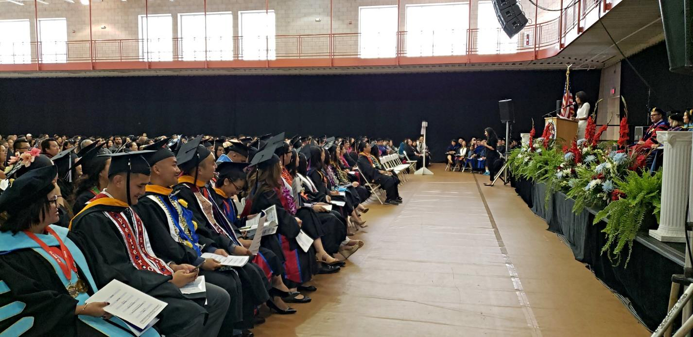 Hmong undergraduate majors table and transfer student graduation rate chart.