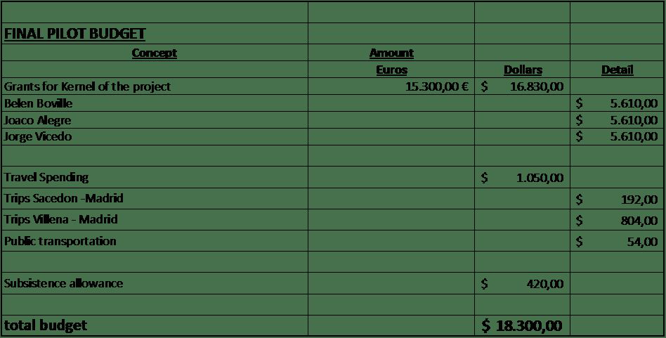 Small budget table showing final pilot budget amounts.