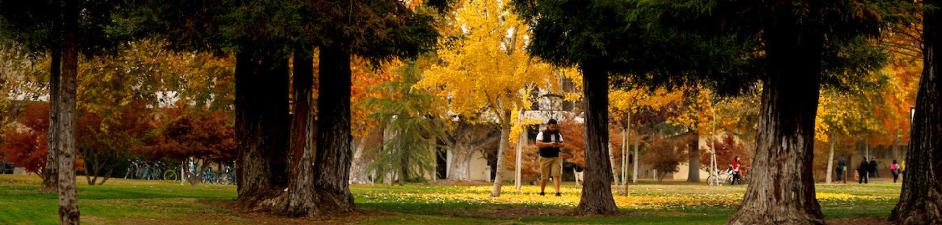 student walking through campus in the fall