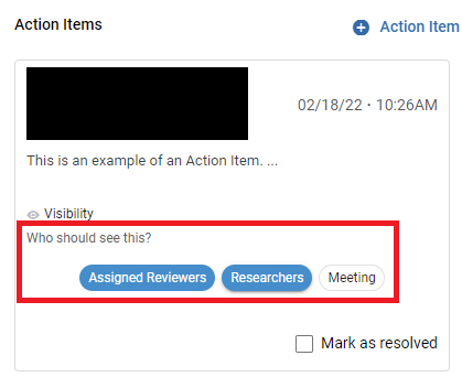 Visibility settings for an action item