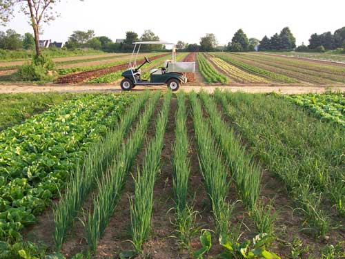 farms