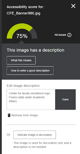 The Ally interface for an individual image file with the alt text box filled