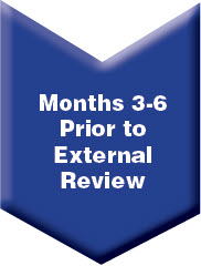 External Review Timeline Months 3-6