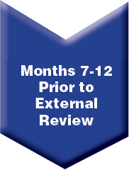 External Review Timeline Months 7-12