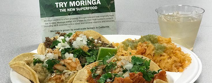 special foods mixer moringa