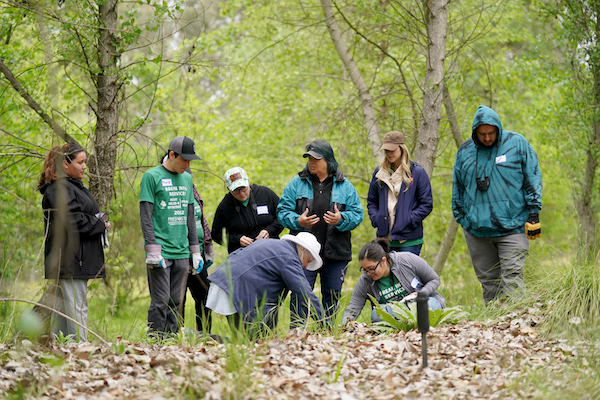 Alternative Spring Break: students cleaning up nearby parks for the community